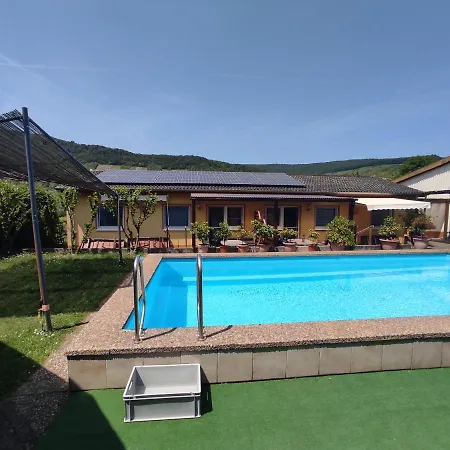 Apartamento Moselferienweingut Schaefer *