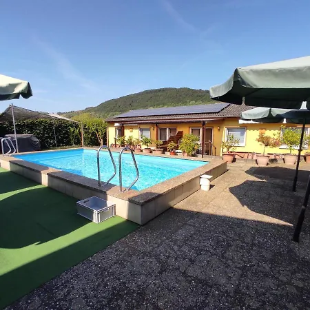 Апартаменты Moselferienweingut Schaefer Винтрих