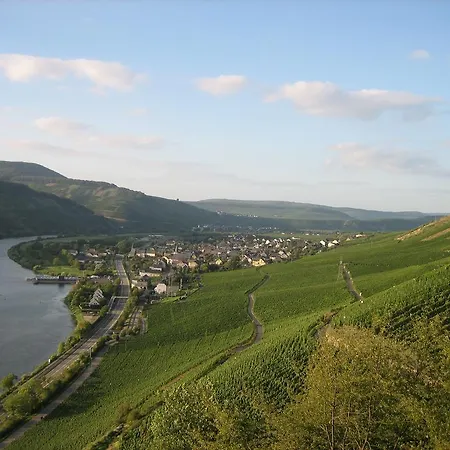 Moselferienweingut Schaefer فينتريش