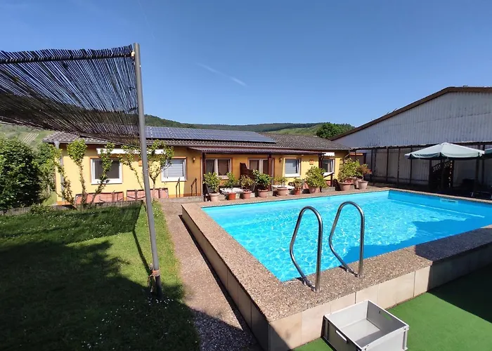 Moselferienweingut Schaefer Wintrich