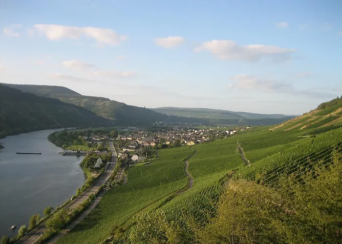 Moselferienweingut Schaefer Wintrich